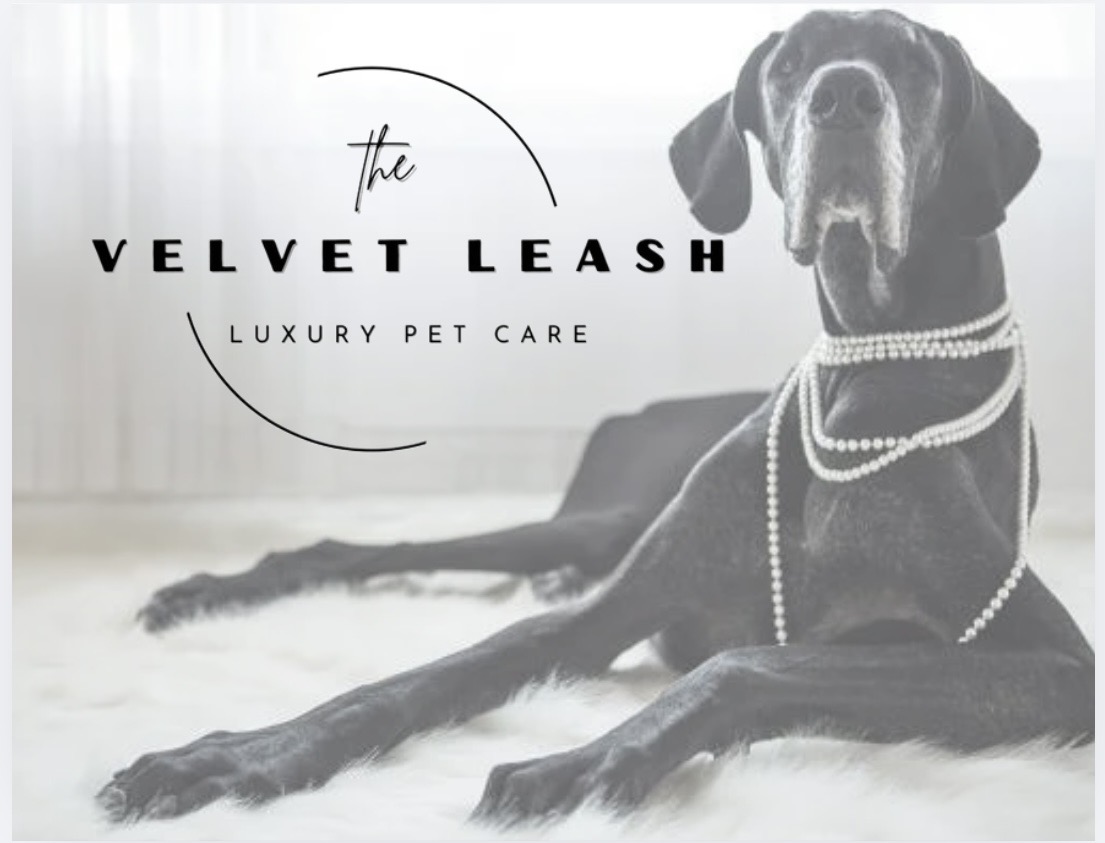 Great Dane wearing pearls — luxury pet care portrait