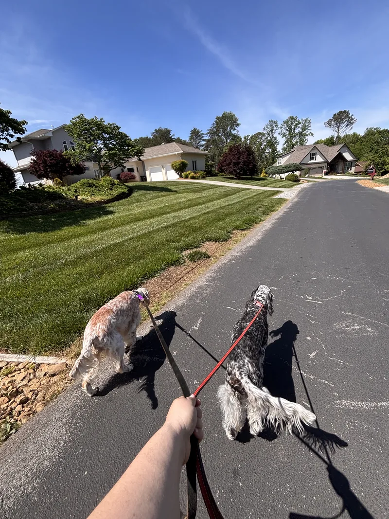 Walks